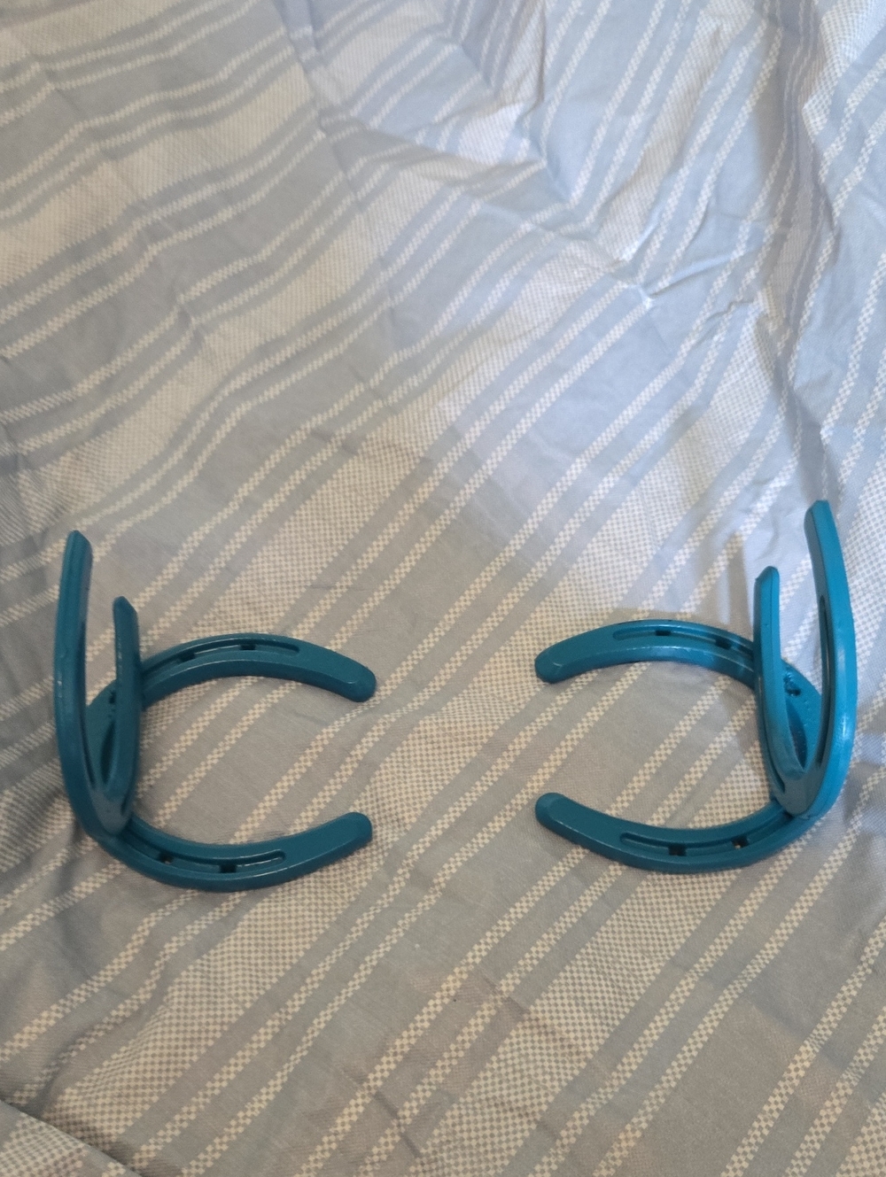 Teal Horse Shoe Curtain Tiebacks - Set of 2